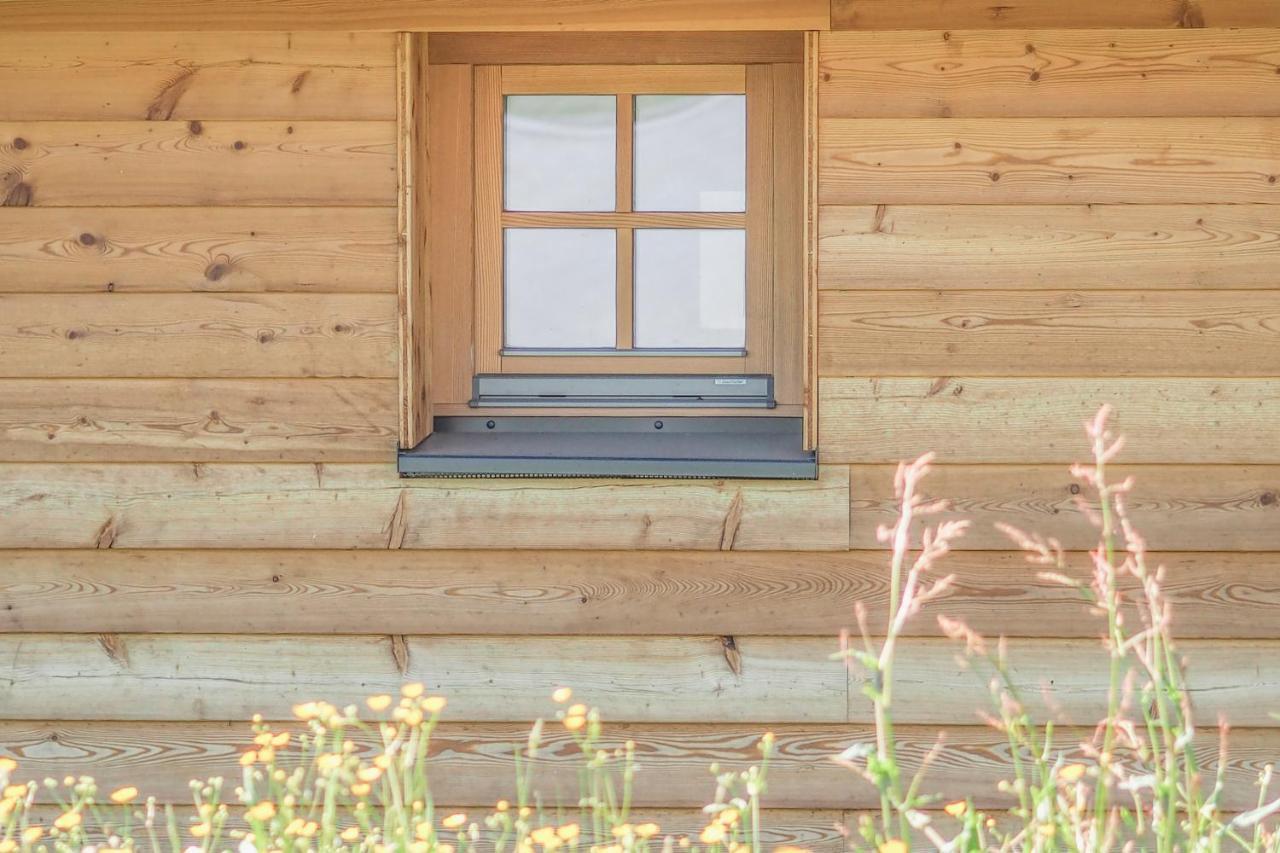 Das Koralpenchalet...Sonne, Wald, Natur! Trahutten المظهر الخارجي الصورة