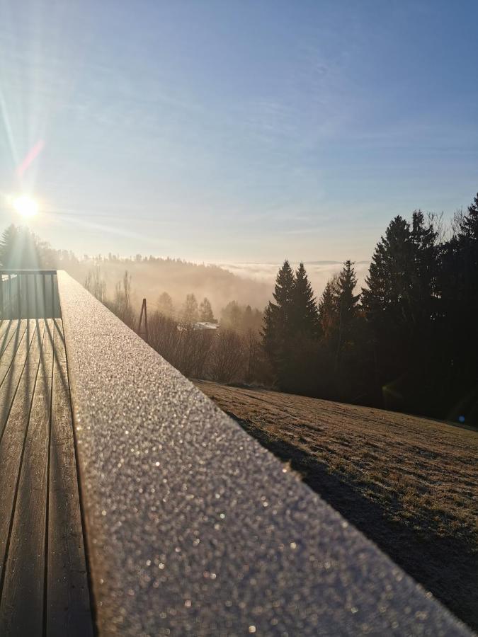 Das Koralpenchalet...Sonne, Wald, Natur! Trahutten المظهر الخارجي الصورة
